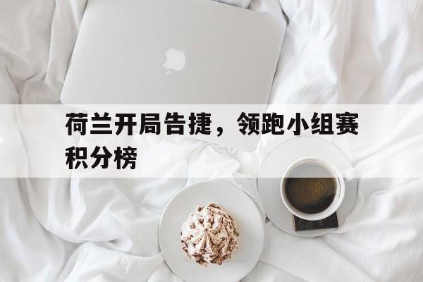 半岛体育平台-荷兰开局告捷，领跑小组赛积分榜